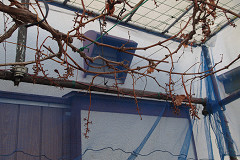 �N���b�N�Ŋg��