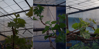 �N���b�N�Ŋg��