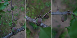 �N���b�N�Ŋg��