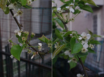 �N���b�N�Ŋg��