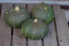 �N���b�N�Ŋg��